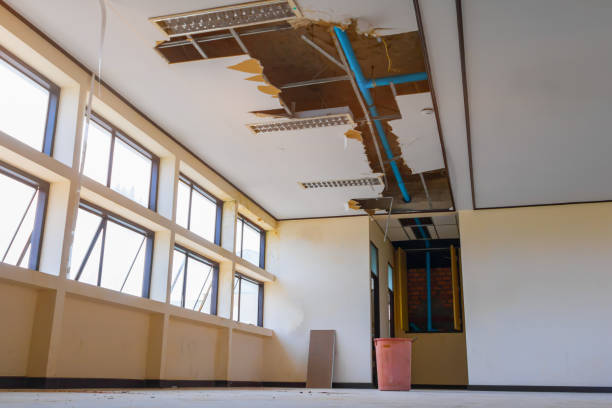 Best Water damage restoration mold remediation  in Huntsville, AR