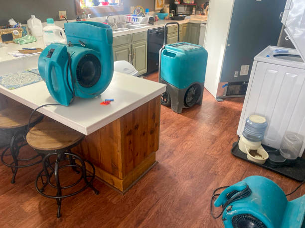 Best Sewage cleanup and water damage restoration  in Huntsville, AR