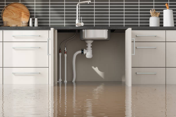 Best Water damage cleanup near me  in Huntsville, AR